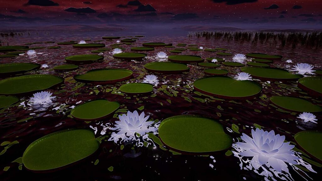 Sunset with purple lilies and lily pads on the water